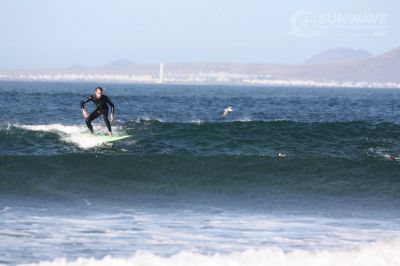 IMG 3045