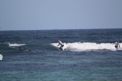 IMG 5089