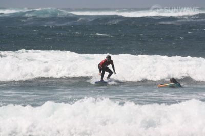 IMG 7441