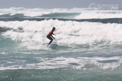 IMG 7528