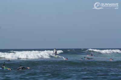 IMG 6445