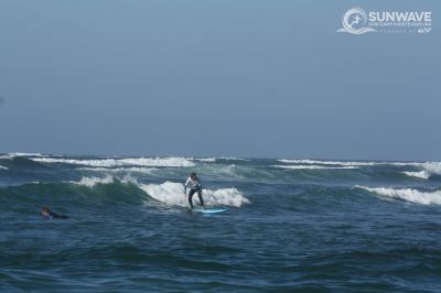 IMG 6503