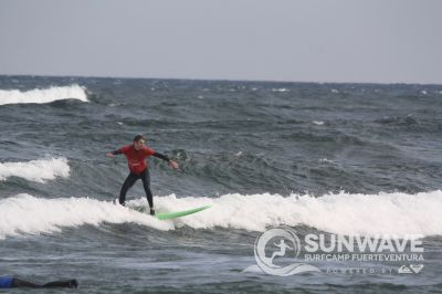 IMG 4529