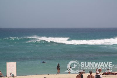 IMG 7997