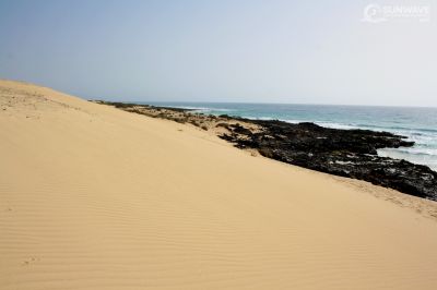 IMG 9782