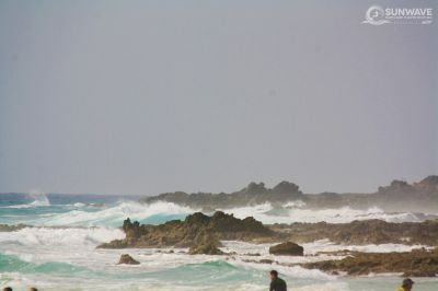 IMG 9846