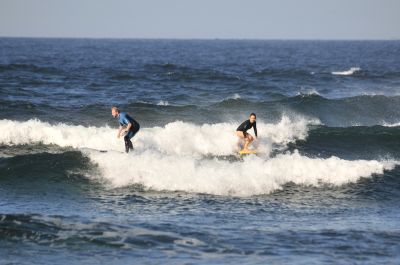  DSC1130