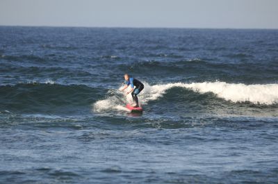  DSC1141