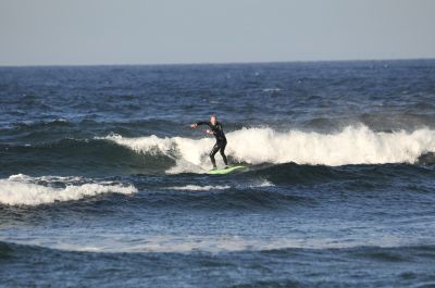 DSC1187