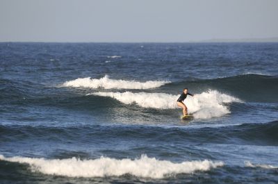  DSC1207