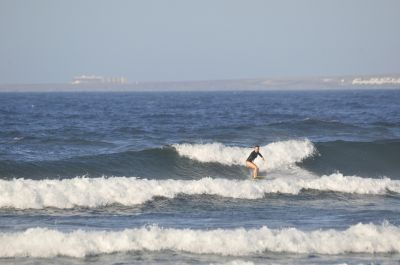  DSC1284