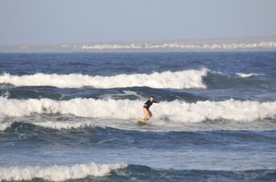  DSC1287