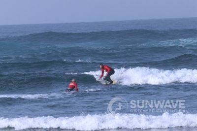 IMG 7995