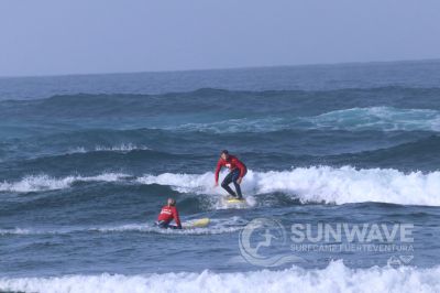 IMG 7994