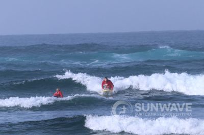 IMG 7991