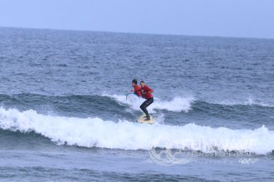 IMG 8647
