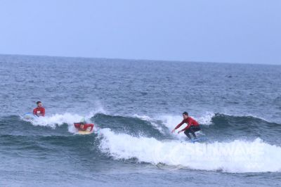 IMG 8642