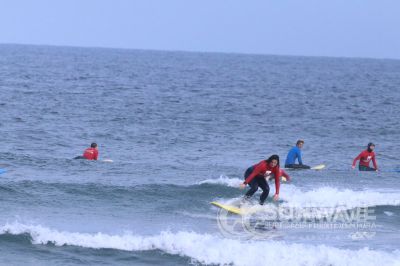 IMG 8596
