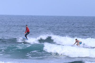 IMG 8594