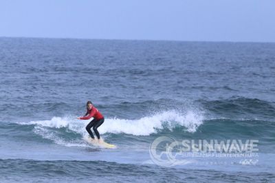 IMG 8529