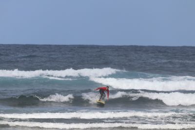 IMG 9141