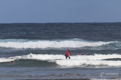 IMG 9134
