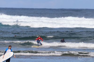 IMG 9101