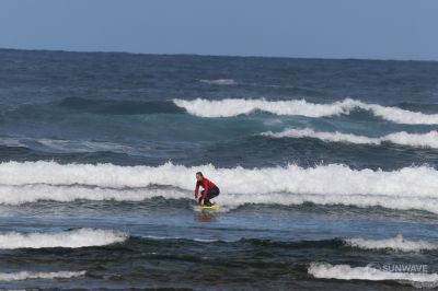 IMG 9081