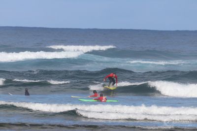IMG 9066