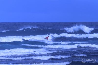 IMG 9027