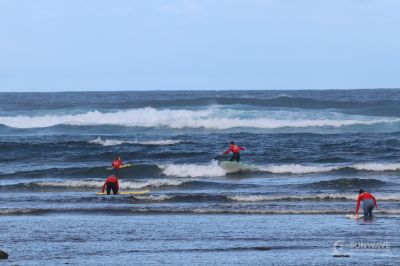 IMG 9017