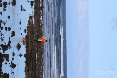 IMG 9016