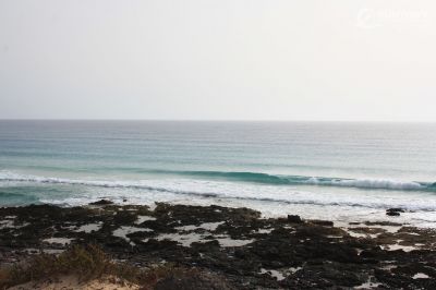 IMG 5301 copy