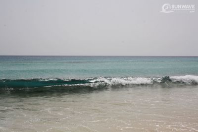 IMG 5796 copy