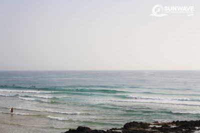 IMG 6356 copy