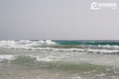 IMG 6539 copy