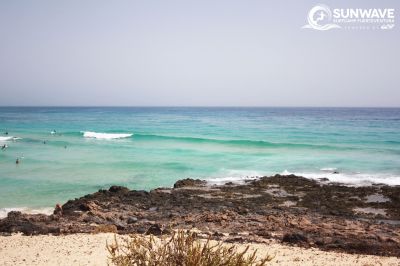 IMG 7028 copy