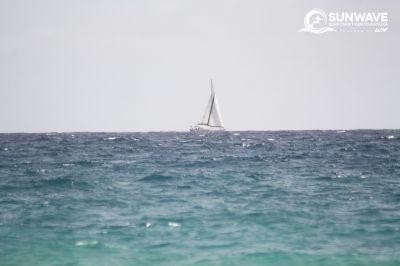 IMG 7424 copy