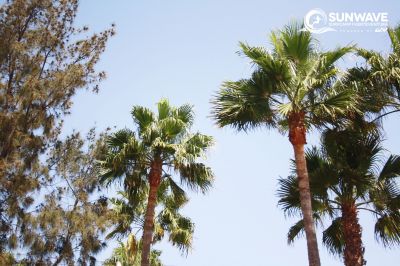 IMG 7636 copy
