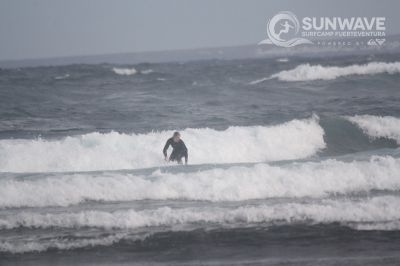 IMG 9350
