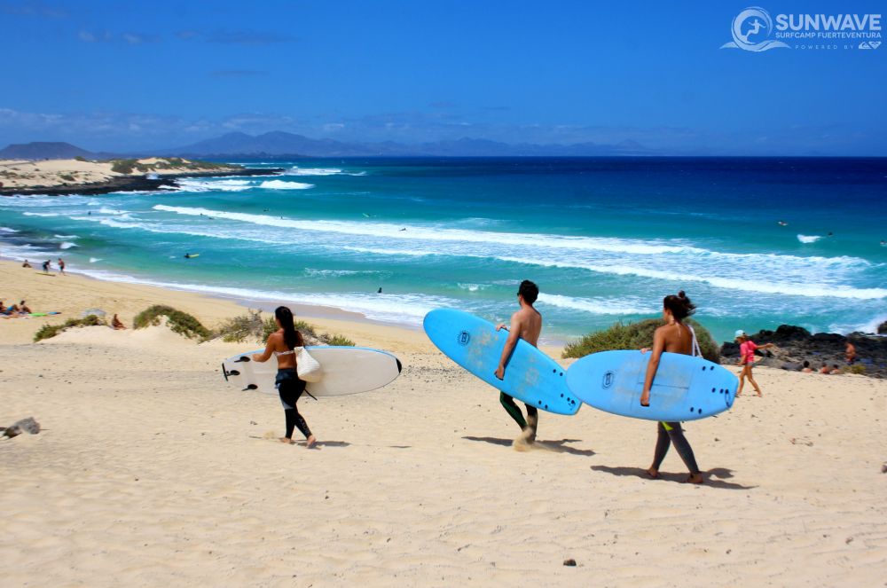 The 5 Rules of Surf Nutrition